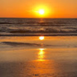 Meet your Posher, Lee ann